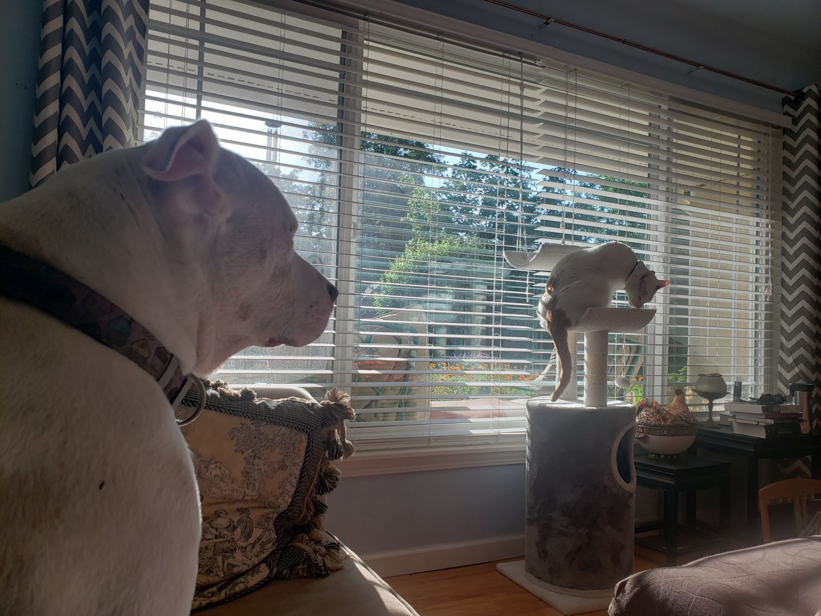 Ellie & Peanut